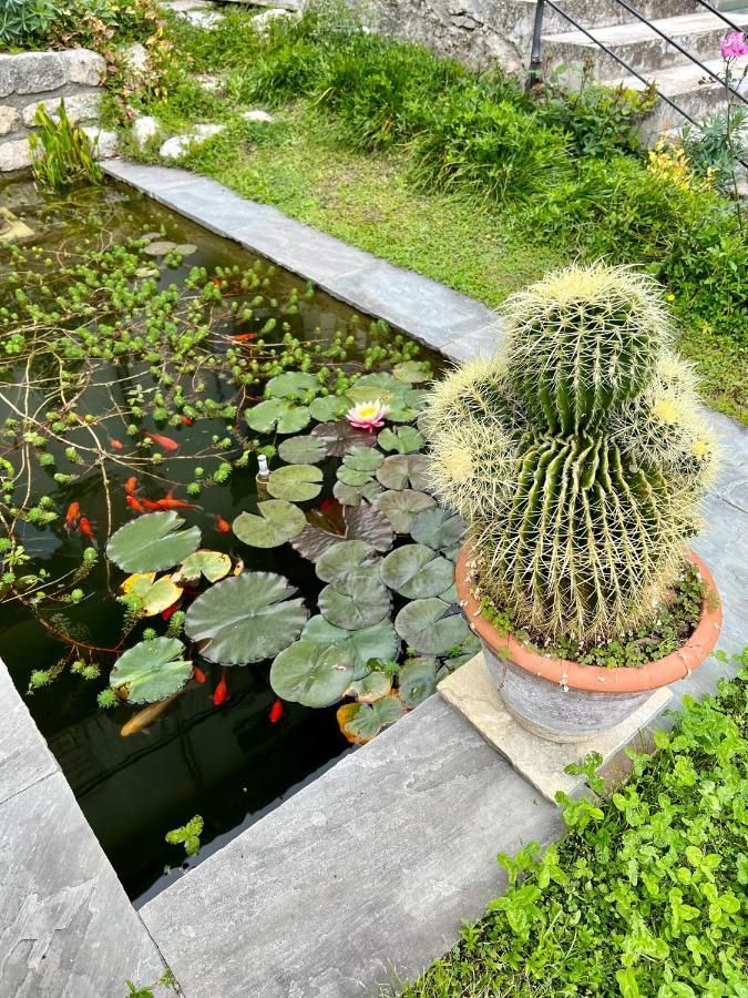 Villa Del Lis Gargnano Exteriér fotografie